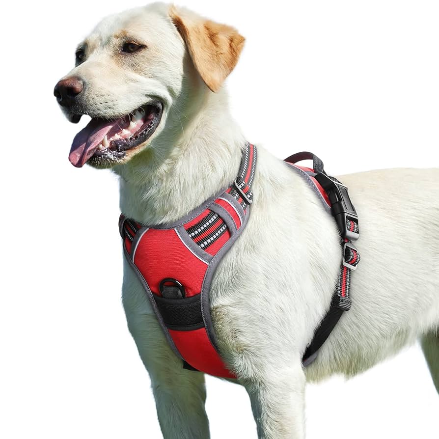 Amazon | Eagloo 犬 ハーネス 大型犬 18-34kg犬用 犬への負担が